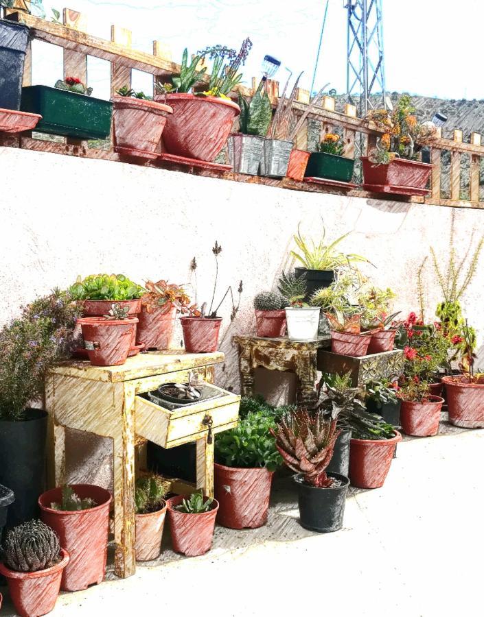 Bed and Breakfast Casa Aguila 2.0 Los Valverde Exterior foto